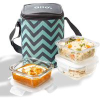 Allo Food Safe Borosilicate Glass Lunch Box, 450C Microwave Safe Lunch Box, Borosilicate Borosilicate Glass Tiffin for Office with Chevron Mint Tiffin Bag, Set of 3, 320ml x 3, Square