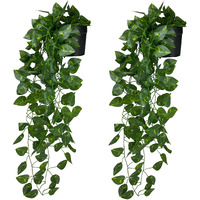 Tdas Artificial Plants with Pot Leaves Hanging Ivy Garlands Plant Greenery Vine Creeper Home Decor Door Wall Balcony Decoration Party Festival Craft (2 Pcs Money Plants) Plastic