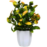 fancymart Artificial Plant Citrus Orange Leaves in Pot Perfect Potted Decoration for Home Living Room & Office Spaces Height - 30cm