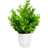 fancymart Artificial Plant Parsley Leaves in Pot Perfect Potted Decoration for Home Living Room & Office Spaces Height - 30cm