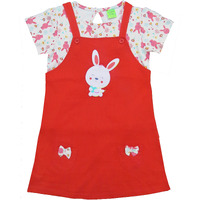 Clothe Funn New Born Knee Length Baby Girl Dress (PeachRed 5-6 Years)