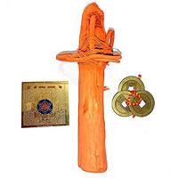 Shreenathji Swetark Ganpati with Aakda ark MUL ganpati Ganesh Yantra Good Luck Three Coin