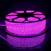 Gesto 10 Meter Rope Led Strip Lights  Outdoor Lights waterproof for Balcony Decoration,Home Decor & Interior Decoration | Decorative Lights for Diwali Decoration,Cove Light for ceiling (Pink)