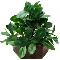 fancymart Artificial Ficus Leaves Plant in Wood Hexagon Pot - 20cm Height - Home & Office Decor Elegant Potted Plant for Tabletop Enhancement