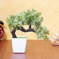 Dekorly Artificial Colourful Wild Bonsai Plants for Home Decor | Artificial Plants Outdoor, Plastic Plants for Home Office Desk Bathroom Bedroom (White)