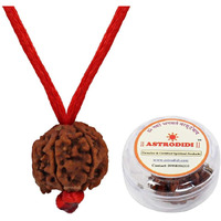 ASTRODIDI Nepali Ganesh Rudraksha (Brown)