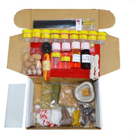 Box2Joy - Making Occasions Special - Ganesh Chaturthi Pooja Kit - 35+ Items