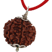 ASTRODIDI Original and Certified 7 Mukhi Rudraksha/Seven Faced Nepali Rudraksh Pendant for Men and Women