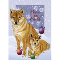 Pipsqueak Productions C597 Shiba Inu Christmas Boxed Cards - Pack of 10