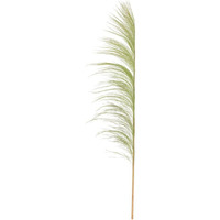 Vickerman 688090-60-72" Basil Uva Palm Spray 10/Bunch (H2UVA105) Dried and Preserved Palms