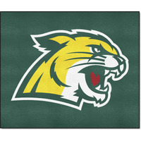 FANMATS 2008 Northern Michigan Wildcats Tailgater Rug - 5ft. x 6ft. Sports Fan Area Rug, Home Decor Rug and Tailgating Mat