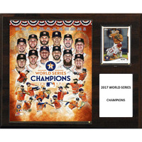 C&I Collectables MLB Houston Astros Mens 1215WS17MLB 12"X15" Houston Astros 2017 World Series Champions, Brown, N/A