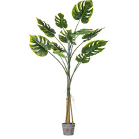 Vickerman Everyday 54" Artificial Potted Grand Split Philodendron Tree with 11 Leaves - Lifelike Home Or Office Decor - Premium Faux Potted Tree - Maintenance Free