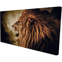 Begin Fierce Lion - Limited Edition - Print on Canvas Edition