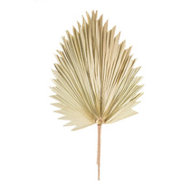 Melrose 83227 Fan Palm Leaf, 42-inch Height, Natural Palm