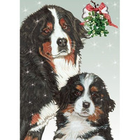 212 Main Bernese Holiday Boxed Cards