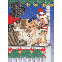 212 Main Mix Dog with Cat Holiday Boxed Cards