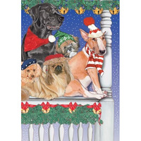 212 Main Mix Dog Holiday Boxed Cards