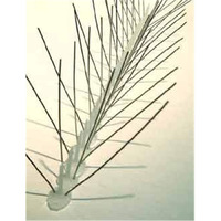 Bird-X Stainless Steel Narrow Spikes 10'