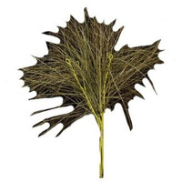 CWI Gifts 13" Wispy Grass Bunch 3Pc, Multi