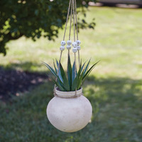 CTW Home Collection Water Pot Planter, 9-inch Diameter, Natural Clay, Jute Rope, Home, Home Dcor