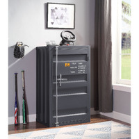 Gunmetal 1-Door Chest With Container Lock