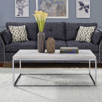 Light Oak And Chrome Coffee Table With Open Base