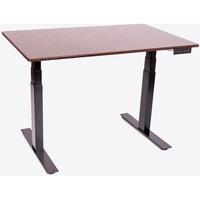 Stande-60  60"" Electric Standing Desk