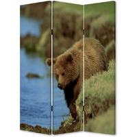 1"" X 48"" X 72"" Multi Color Wood Canvas Bear  Screen