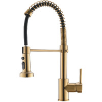 New Single Handle Pull-Down Sprayer Kitchen Faucet in Brushed gold(D0102H5QT0X)