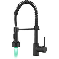 New Single Handle Pull-Down Sprayer LED Kitchen Faucet(D0102H5QTLP)