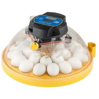 Maxi 24 Advance Automatic Egg Incubator