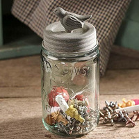 Pint Mason Jar With Songbird Lid - Barn Roof