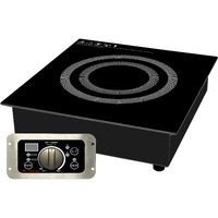 Built-In (Non cooking / Hold Only) Induction Warmer