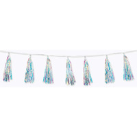 Iridescent Tassel Garland