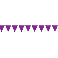 Purple Pennant Banner