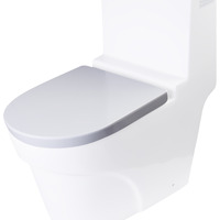 EAGO R-326SEAT Replacement Soft Closing Toilet Seat for TB326