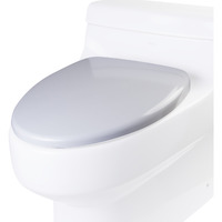 EAGO R-352SEAT Replacement Soft Closing Toilet Seat for TB352