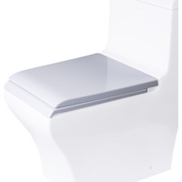 EAGO R-356SEAT Replacement Soft Closing Toilet Seat for TB356