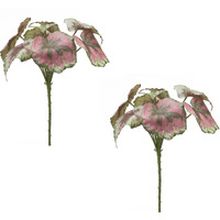 Begonia Leaf (Set of 2)