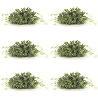 Boxwood Half Orb (Set of 6)