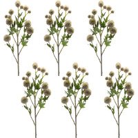 Allium Spray (Set of 6)