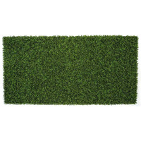 103 in UV Boxwood Mat  green