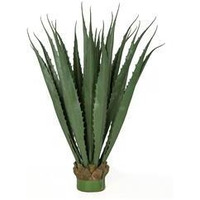 36 in Large Outdoor Pandanus Plant  green