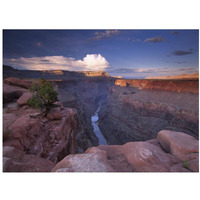 Colorado River from Toroweap Overlook, Grand Canyon National Park, Arizona-Paper Art-18"x14"