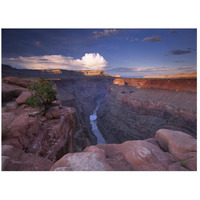 Colorado River from Toroweap Overlook, Grand Canyon National Park, Arizona-Paper Art-26"x20"