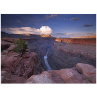 Colorado River from Toroweap Overlook, Grand Canyon National Park, Arizona-Paper Art-42"x32"