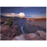 Colorado River from Toroweap Overlook, Grand Canyon National Park, Arizona-Paper Art-50"x38"