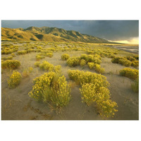 Sangre de Cristo Mountains at Great Sand Dunes National Monument, Colorado-Paper Art-26"x20"