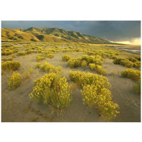 Sangre de Cristo Mountains at Great Sand Dunes National Monument, Colorado-Paper Art-42"x32"